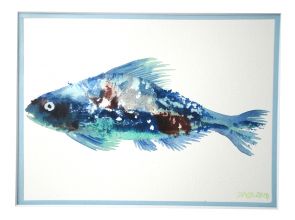 FISH_23